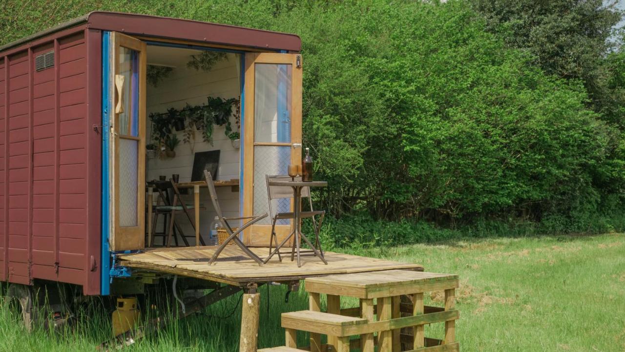 Quirky Vintage Horsebox Conversion With Stunning Views Of Ardingly Reservoir Balcombe Eksteriør billede